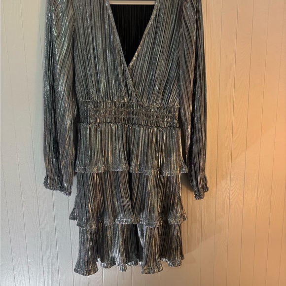 Wishlist Apparel Silver Metallic Fit and Flare Ruffled Dress Med NWOT - Picture 3 of 8